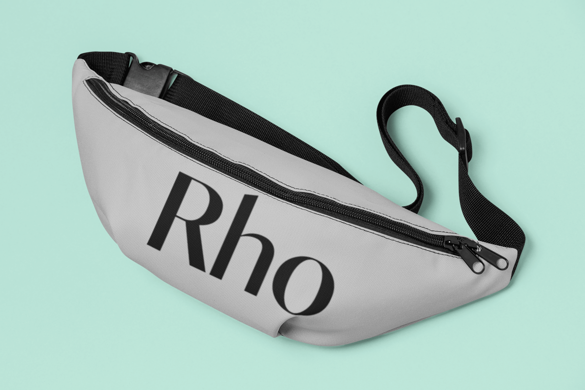 The Waist Pack - image3